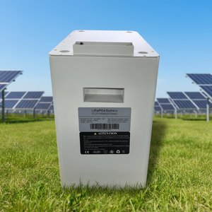 Uitbreidbare 5,12 kWh gestapelde batterijmodule |   51,2V 100Ah Hoge-Dichtheid Opslag - Product Image 1