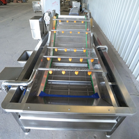 Fruit- en groenteverwerkingslijn voor het reinigen, sorteren, wassen en drogen van dadels en taugé; inclusief een bubbelwasmachine.