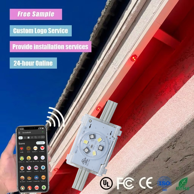 IMW Wholesales Customized Addressable Pixel Light RGBW Permanent Christmas Lights 48V Point Light for Building Facade