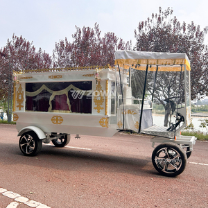 Cercueil de Luxe Personnalisé en Acier, Traîné par des Chevaux et Électrique, Chariot Funéraire, Véhicule de Cercueil, Vente Directe d'Usine - Product Image 6