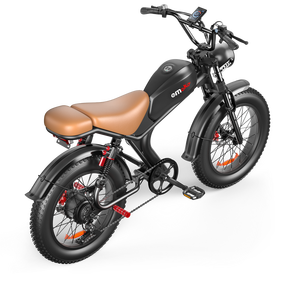 Bicicleta Eléctrica de Neumáticos Anchos de Aluminio con Motor Central de 1000w 48v 20ah, Modelo Fw-93, Potente, Disponible en Almacén en el Extranjero - Product Image 5