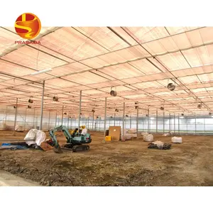 Prasada agricultural 8mm double hallow hydroponic best greenhouse plastic