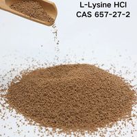 Lysine en poudre de qualité alimentaire, fortifiant nutritionnel, L-lysine, fourni par l'usine