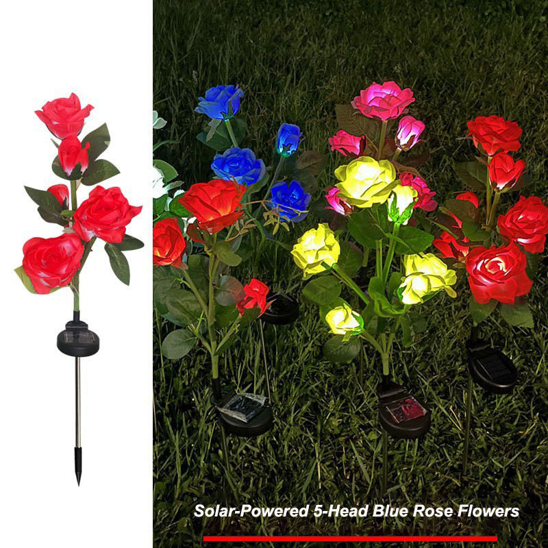 Rose rouge à cinq têtes