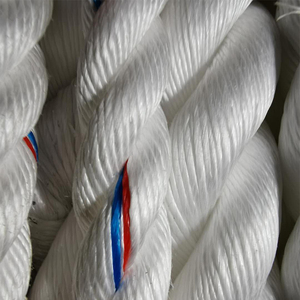 ダンラインポリプロピレンロープ3-4ストランドツイストPP 6MM-18MM包装用ロープ - Product Image 6