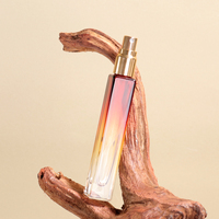Flacon pulvérisateur à double embout en verre ambré dépoli de 10 ml, diffuseur cylindrique à bâtonnets pour huiles essentielles et concentrés de parfum, avec pompe pulvérisatrice