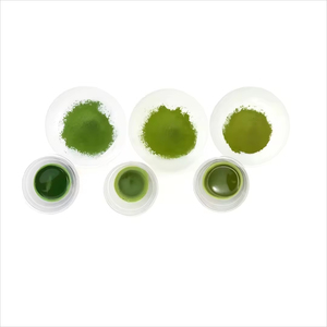 卸売バルク天然オーガニックダークグリーンスピルリナパウダー60％タンパク質強壮剤水溶性成人健康補助食品 - Product Image 5