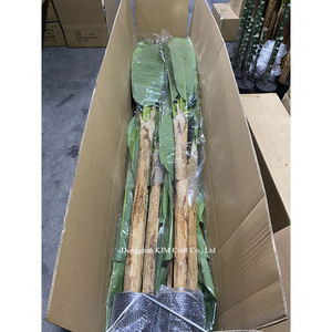 Planta Artificial de Plátano Gigante de 260 cm, 4 <span class=keywords><strong>Troncos</strong></span>, Alta Calidad, Realista, para Decoración del Hogar y Paredes - Product Image 6