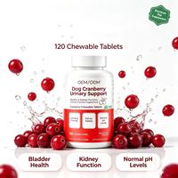 Tablet Kunyah Cuka Apel Rasa Berry Merah untuk Anjing, Harga Pabrik OEM ODM, Bebas Biji-bijian, dengan Vitamin dan Mineral, untuk Meningkatkan Imunitas