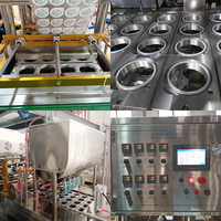 Ligne de production automatique de gelée de fruits commerciale / Machine à fabriquer des gelées et des puddings