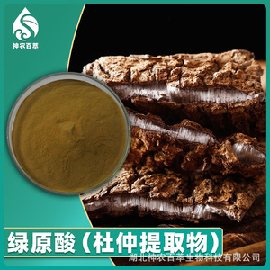 Ácido clorogénico 98%, extracto de flor masculina de Eucommia ulmoides 10:1, extracto de Eucommia ulmoides, clorogénico de Eucommia ulmoides - Product Image 2