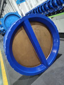 DN1000 PN10 DI katup periksa pelat ganda dengan cakram perunggu - Product Image 3