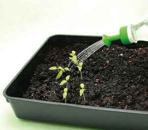 Bouchon de bouteille arroseur en <span class=keywords><strong>plastique</strong></span> PVC GB 28mm calibre petite <span class=keywords><strong>buse</strong></span> tête d'arrosage arrosage légumes <span class=keywords><strong>buse</strong></span> de brouillard - Product Image 5