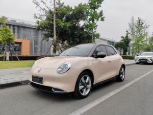 Coche Eléctrico Usado ORA Good Cat 2021, 400km de Autonomí<span class=keywords><strong>a</strong></span>, Vehículo Eléctrico Compacto de <span class=keywords><strong>Segunda</strong></span> <span class=keywords><strong>Mano</strong></span>, Nueva Energí<span class=keywords><strong>a</strong></span>, Volante <span class=keywords><strong>a</strong></span> la Izquierda, Bajo Kilometraje - Product Image 5