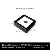 Boîte de rangement élégante pour bijoux en plastique avec fermeture à boucle, design carré simple et étui de présentation pour pierres précieuses et diamants