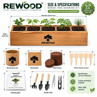 Kit de culture de bonsaï en gros avec boîte de plantation en bois, 5 variétés de graines, ensemble cadeau DIY, OEM ODM, marque privée