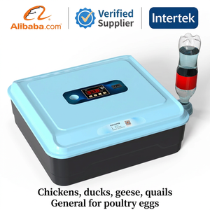 Incubadora de Huevos Totalmente Automática en Venta en los Emiratos Árabes Unidos, para 20, 30, 66 Huevos, 12V 220V - Product Image 5