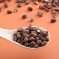 Guoyue Frijoles cocidos liofilizados a granel para comidas Gefriergetrocknete rote Bohne lyofilizovane Vegetales Frijoles rojos liofilizados