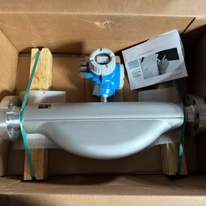 新製品 エンドレスハウザー プロライン プロマス P 300 コリオリ流量計センサー - Product Image 4