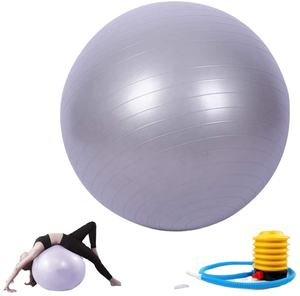 Skyhope-D bola Yoga PVC kustom cetak antiledakan inti besar latihan Pilates - Product Image 4