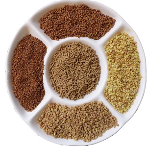 Tè al grano saraceno di prima qualità e tè al grano saraceno biologico senza glutine nero sciolto per 24 mesi a conservazione 1 Kg bustine di tè appena saporite