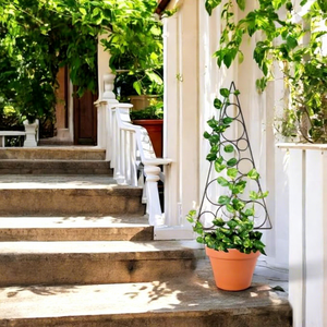 Ecofnd Pot de fleurs classique avec support treillis pour roses grimpantes, pot de jardin d'intérieur - Product Image 5