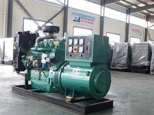 50kVA الطاقة مولد 50kva الديزل محرك 40kw الديزل السلطة بواسطة ريكاردو المحرك - Product Image 5