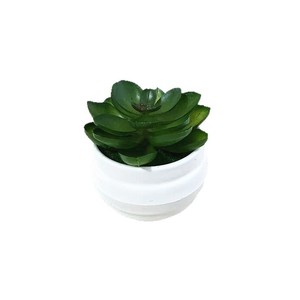 Plante succulente artificielle en pot, verdure artificielle pour la décoration intérieure de la maison, du bureau, du café, de l'hôtel - Product Image 5