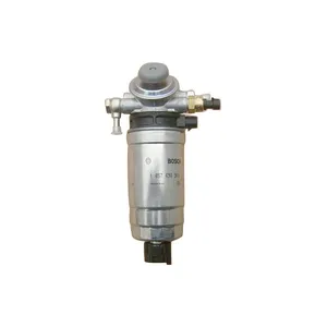 WSY 1105100-E06 Kraftstofffilter für Großmauer Haval-Schwebebühne