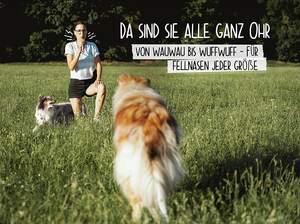 डोरी के साथ कुत्ते सीटी-Standardised आवृत्ति के साथ पेशेवर प्रशिक्षण सीटी-कुत्ता प्रशिक्षण के लिए आदर्श - Product Image 4