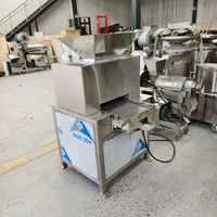Automatische, hoog-efficiënte, multifunctionele fruitpersmachine voor ananas- en sinaasappelsap, fruitverwerking en fruitpulpmachine