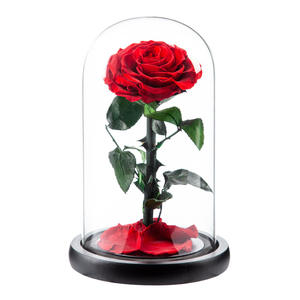Roses éternelles, fleurs pour la Saint-Valentin, fête des mères, fleurs éternelles conservées, roses éternelles dans un dôme en verre, LED, meilleure qualité - Product Image 5