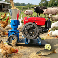 Machine à fabriquer des granulés d'aliments pour animaux à moteur diesel, sans électricité, granulateur de granulés pour aliments de volailles, porcs, bovins, moutons, bétail