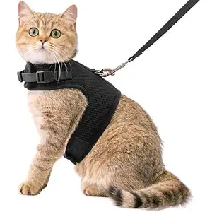 Bentuk elegan lembut warna-warni jaring udara kucing harness dan set tali di luar rompi harness untuk hewan peliharaan