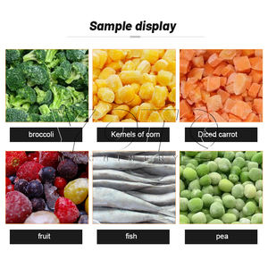 Línea de Procesamiento de Vegetales Congelados para Guisantes, Brócoli y Coliflor - Automática, Acero Inoxidable 304, Capacidad de 300 kg/h - Product Image 2
