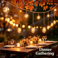 Guirlande lumineuse LED vintage de 28 pieds, 13 ampoules en verre transparent, lumière blanc chaud, étanche IP65, fil noir, dimmable, décoration pour patio et jardin