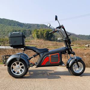 YIDE-triciclo eléctrico de tres ruedas para adulto, Rickshaw, movilidad completa, barato - Product Image 1