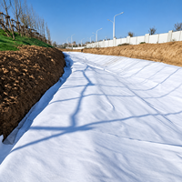 Géotextile non tissé aiguilleté en polyester, tissu géotextile en PET pour le drainage des routes et des décharges