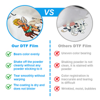 Cowint Roll A3 Dtf I3200 A3 Dtf Impression Pet Film 60 cm 30cm 120cm 43cm