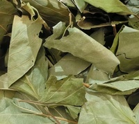 Feuilles de Kaki (Shi Ye Kaki Folium Persimmon Leaf) – Matériaux Herbacés Chinois de Haute Qualité – Produits Alimentaires Sains – Feuilles Séchées – Épices pour Régime