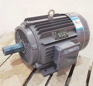 YE2 시리즈 0.18kw-<span class=keywords><strong>200kw</strong></span> <span class=keywords><strong>3</strong></span>상 스퀴럴 케이지 AC 유도 전동기 380V 50Hz - Product Image 4