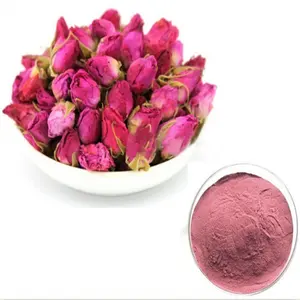 Nhà máy cung cấp chất lượng cao bán Hot Rose cánh hoa bột ngay lập tức Rose Flower bột