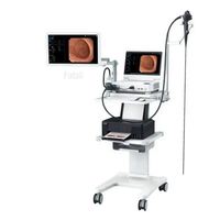 Système d'endoscopie médicale 4 en 1 Full HD 4K avec moniteur 15,6 pouces, système d'endoscopie HD portable, prix d'usine
