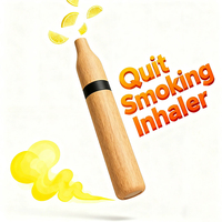 Inhalateur d'aromathérapie portable à l'huile essentielle pure pour la désintoxication tabagique, contenant du menthol, du citron et de l'eucalyptus, bâtonnets sans fumée