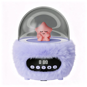 Mini Altoparlante Portatile con Funzione Cambio Voce e Lampada Colorata, Macchina per Karaoke Domestico, Altoparlante Portatile BT 5.0 - Product Image 2