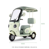 Nouveau Vélo-Taxi Électrique 2026 1000W 48V/60V à Châssis en Aluminium pour Usage Familial, Tricycle avec Toit et Prêt pour Panneau Solaire