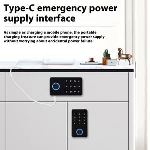 Armoire à double porte en bois avec serrure intelligente NFC, reconnaissance d'empreintes digitales et mot de passe, pour rangement de chaussures et d'archives, compatible international - Product Image 4