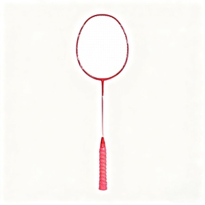 Ensemble de raquettes de <span class=keywords><strong>badminton</strong></span> pour débutants professionnels, fabrication directe d'usine, logo personnalisé, fibre de carbone, PU de haute qualité, léger - Product Image 3