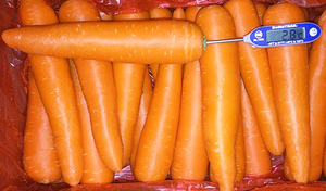 Rau củ đông lạnh bán buôn IQF, cà rốt đông lạnh - Product Image 3