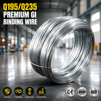 Alambre de Acero Galvanizado en Caliente Dake Q195 Q235 BWG8-BWG24, Alambre GI Suave para Atar, Venta al por Mayor de Fábrica para Cercas de Viñedos